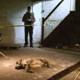 Frank -Cocaine Basement