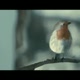 John Lewis - 'The Journey'