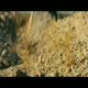 BURGER KING® - CHICKEN FRIES - DEATH ROAD